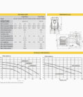 StarFlo 16m³/h Davey Mono – Image 2