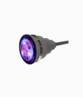 Mini projecteur LED RGBW - CCEI Mini Brio 12W